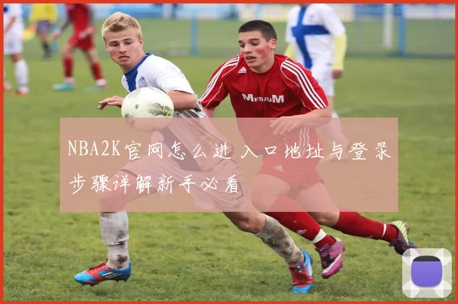 NBA2K官网怎么进 入口地址与登录步骤详解新手必看