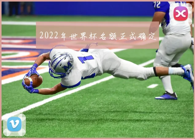 2022年世界杯名额正式确定