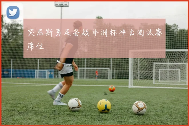 突尼斯男足备战非洲杯冲击淘汰赛席位