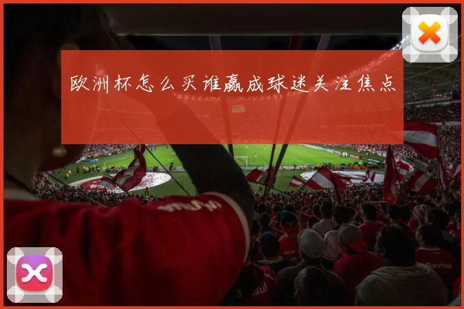 欧洲杯怎么买谁赢成球迷关注焦点