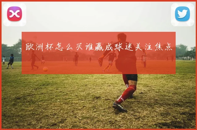 欧洲杯怎么买谁赢成球迷关注焦点